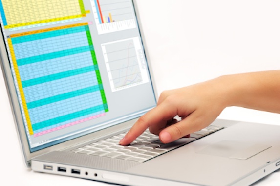 computer spreadsheet